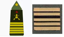 galon_colonel_terre