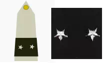 galon_general_brigade_terre
