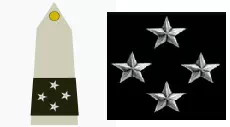 galon_general_corps_armee_terre